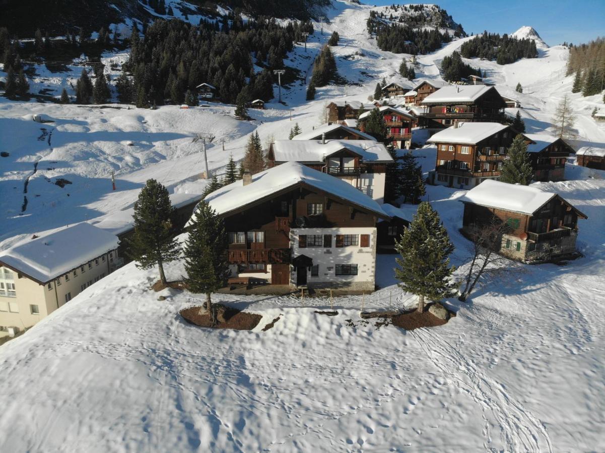 Schoenegg Studio Riederalp Eksteriør billede