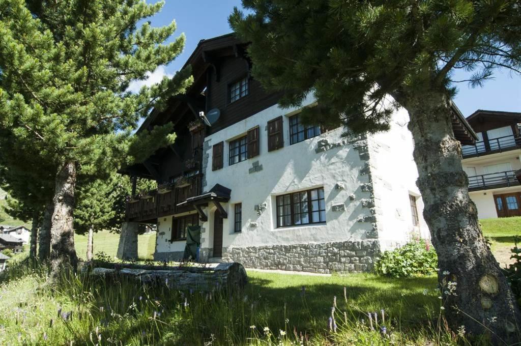 Schoenegg Studio Riederalp Eksteriør billede
